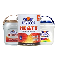 Fevicol